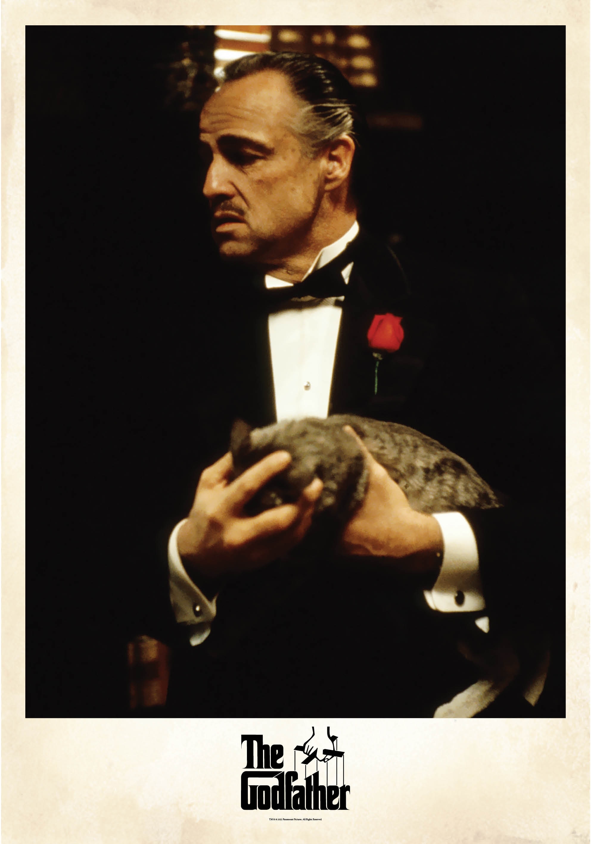 Vito Corleone Photo Poster